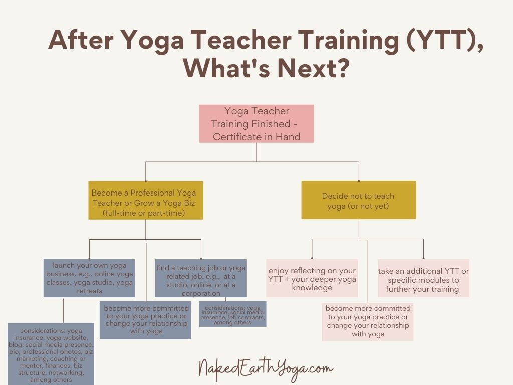 flow chart steps after becoming a yoga teacher launch yoga biz